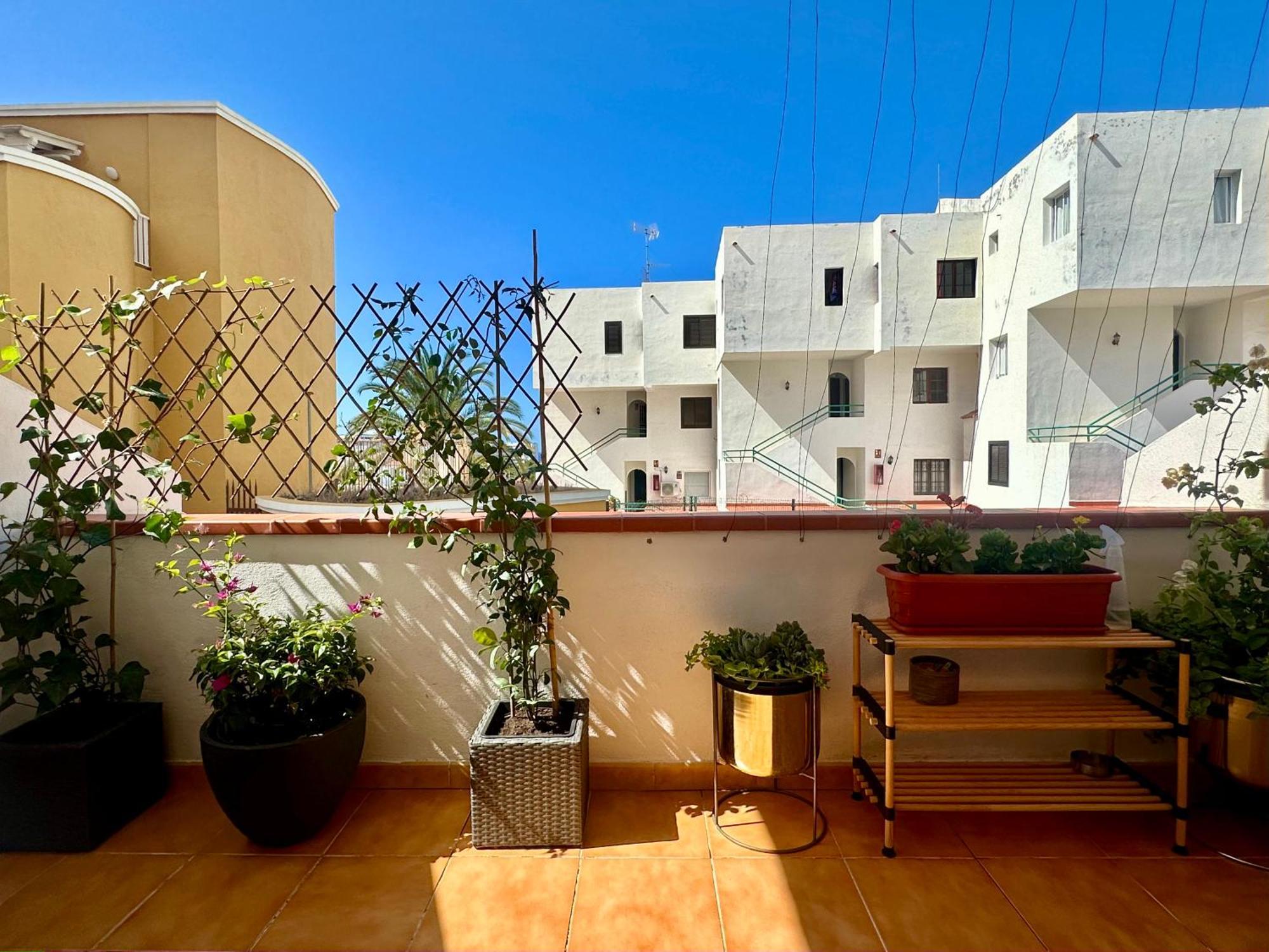 Apartment In Ocean Park Ii, Costa Adeje, Tenerife Екстериор снимка