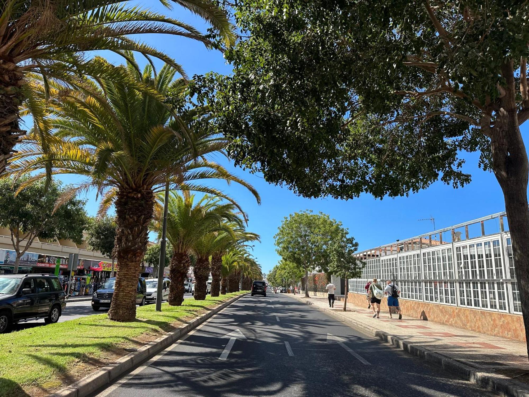 Apartment In Ocean Park Ii, Costa Adeje, Tenerife Екстериор снимка